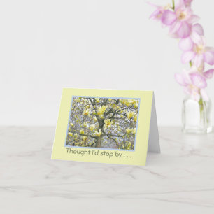 Magnolia Tree Blossoms/Soft Moonlight-Yellow/ hi Card