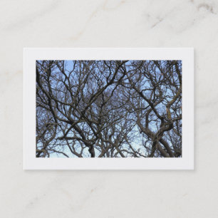 Magnolia Tree Branches (Bordered) Business Card