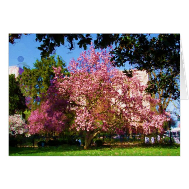 Magnolia Tree Card (Front Horizontal)