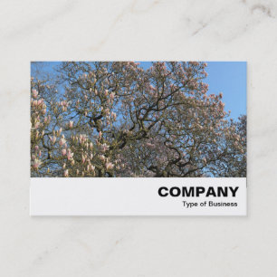 Magnolia Tree in Blossom Business Card