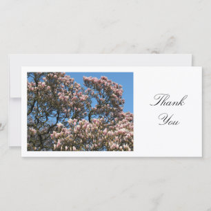 Magnolia Tree in Blossom - Thank You Card