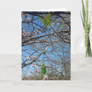Magnolia Tree Wind Chimes Thinking About You Card