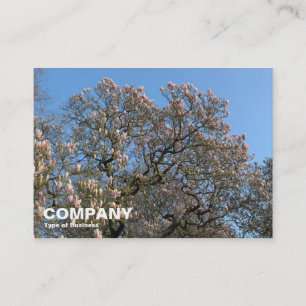 Magnolia Trees in Blossom Business Card