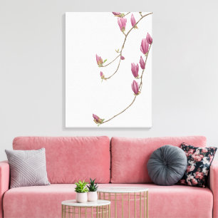 Magnolia Vine Canvas Print