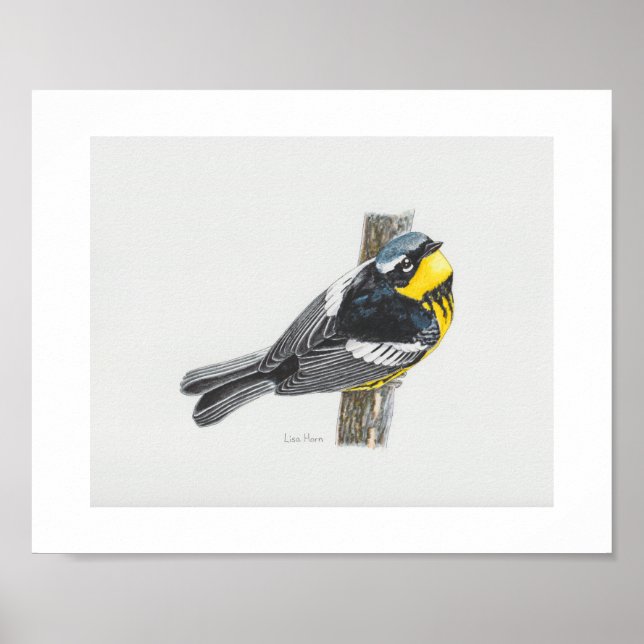 Magnolia Warbler Art Print (Front)