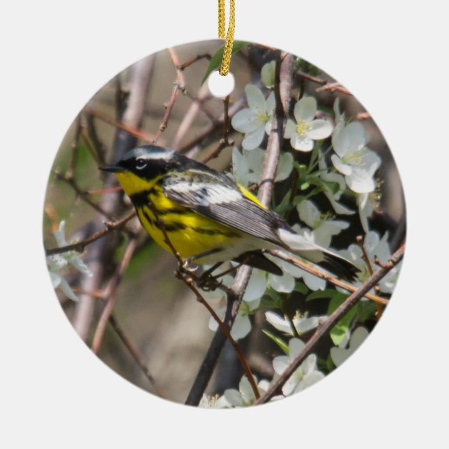 Magnolia Warbler Ceramic Ornament (Front)