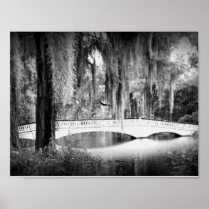 Magnolia's Bridge Poster