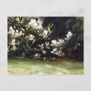 Magnolias by John Singer Sargent Postcard