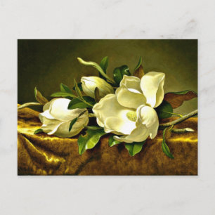 Magnolias on Gold Velvet Cloth, fine art painting Postcard