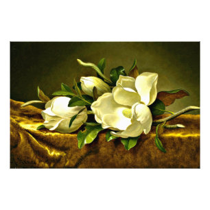 Magnolias on Gold Velvet Cloth Photo Print