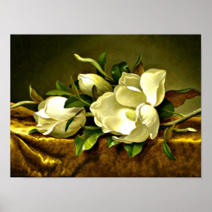 Magnolias on Gold Velvet Cloth Poster
