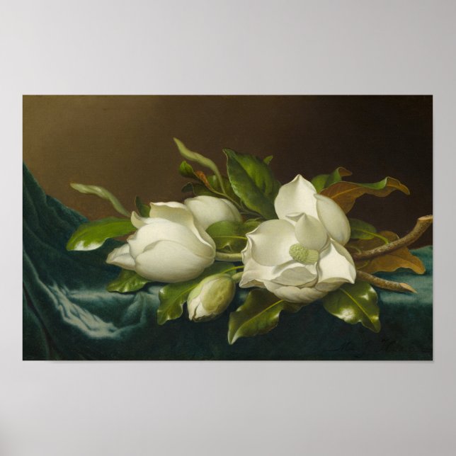 Magnolias on Light Blue Velvet ,Famous Painting Poster (Front)