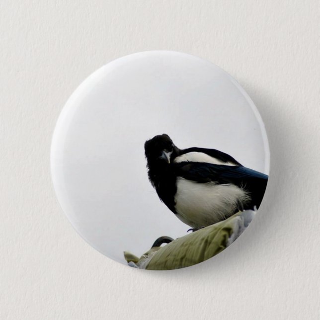 Magpie 6 Cm Round Badge (Front)