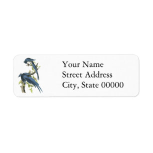 Magpie Jay, John Audubon Return Address Label