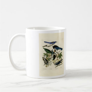 Magpie Jays & Nutcracker Audubon Birds of America Coffee Mug