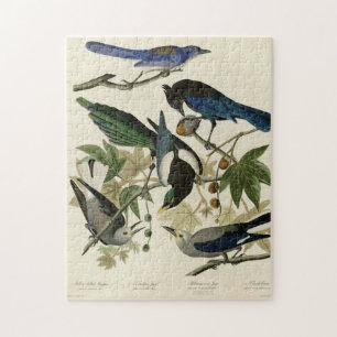 Magpie Jays & Nutcracker Audubon Birds of America  Jigsaw Puzzle