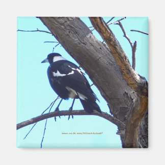 Magpie on a Branch - Magnet