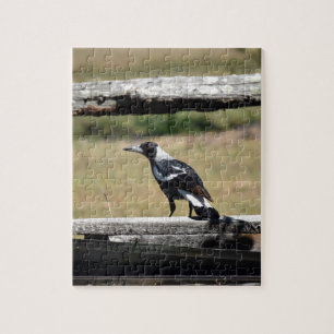 MAGPIE ON FENCE  RURAL QUEENSLAND AUSTRALIA JIGSAW PUZZLE