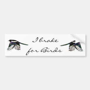 Magpie  - Watercolor Bird Bumper Sticker
