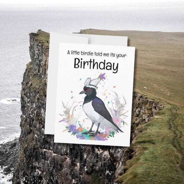 Magpie wearing birthday hat confetti background postcard (Creator Uploaded)
