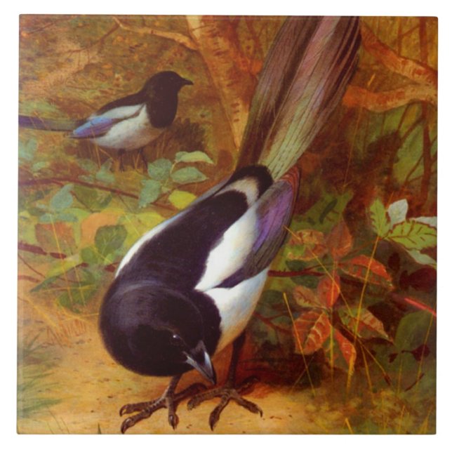 Magpies Ceramic Tile (Front)