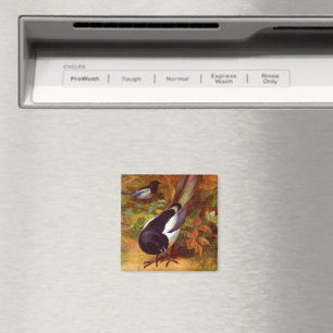 Magpies Magnet