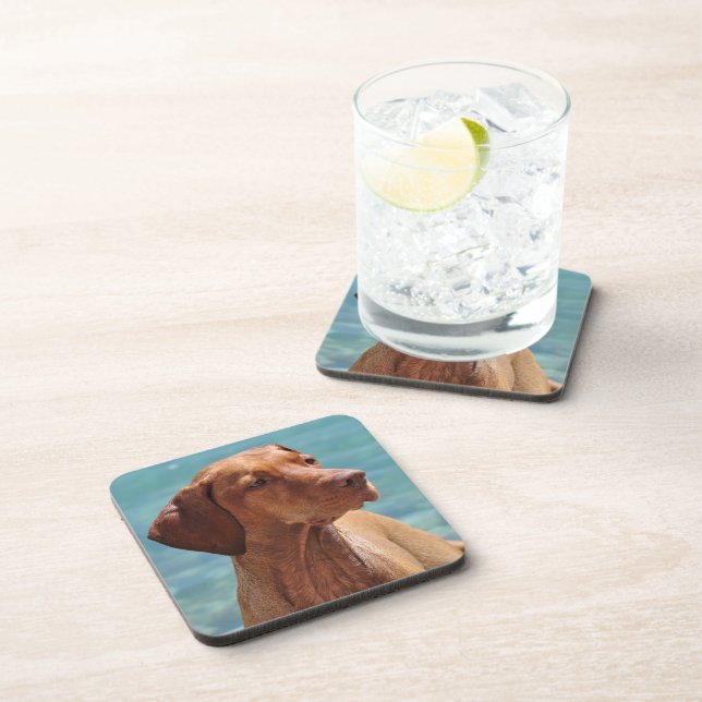 Magyar Vizsla Dog Coaster (Right Side)