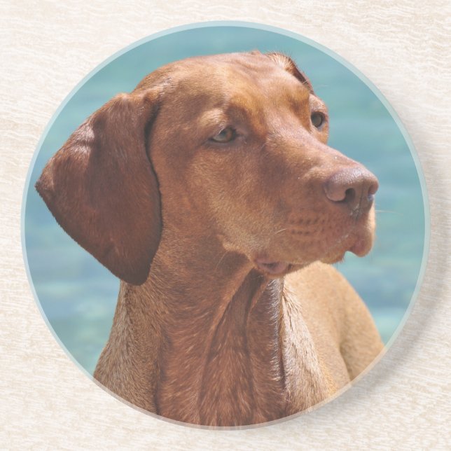 Magyar Vizsla Dog Coaster (Front)