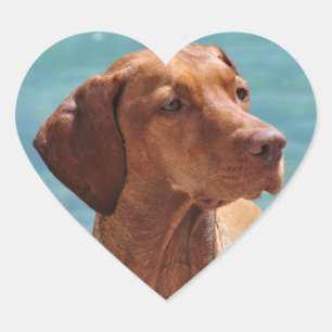 Magyar Vizsla Dog Heart Sticker
