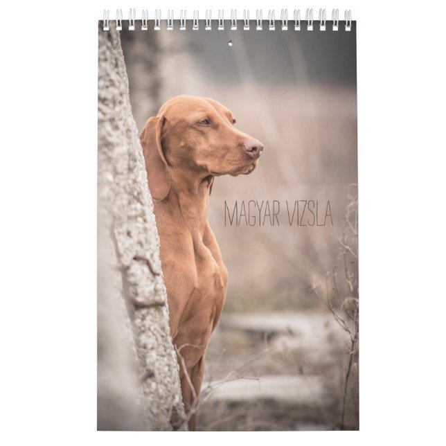 Magyar Vizsla Dogs Calendar (Cover)