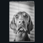 Magyar Vizsla Dogs Calendar black & white<br><div class="desc">Magyar Vizsla Dogs Calendar</div>