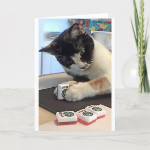 Mah Jongg Notecard Joker Cat