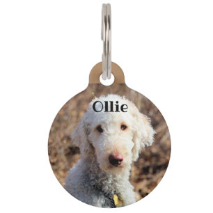 Mah Pet Tag