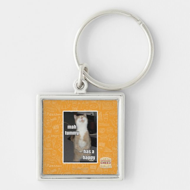 Mah tummy has a happy key ring (Front)