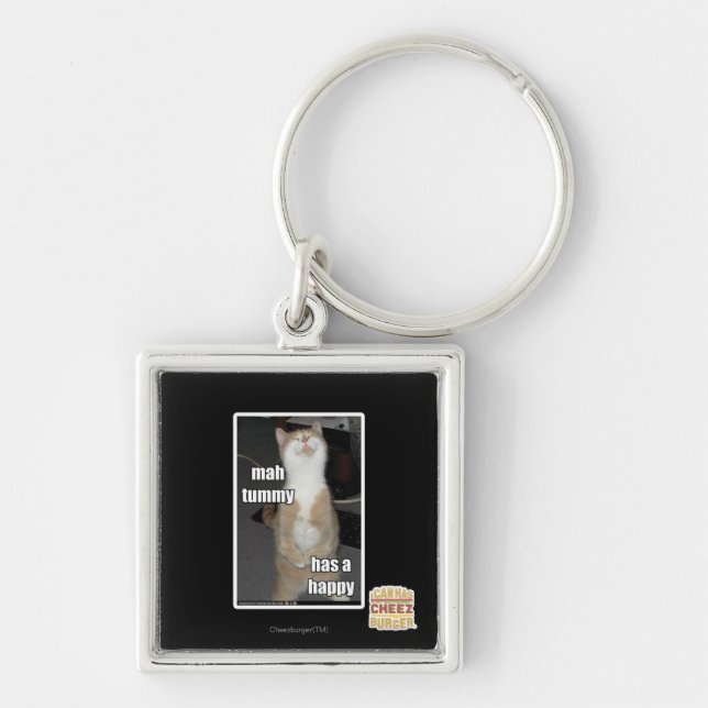 Mah tummy has a happy key ring (Front)