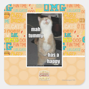 Mah tummy has a happy square sticker