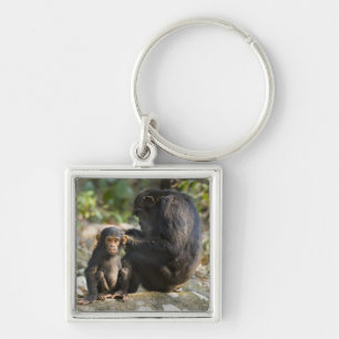 Mahale Mountains National Park, Tanzania Key Ring