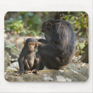 Mahale Mountains National Park, Tanzania Mouse Pad