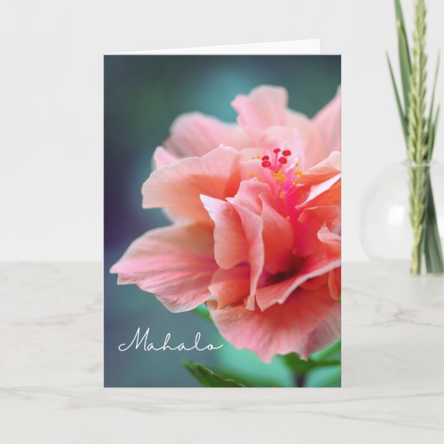 Mahalo Thank you Hawaiian Pink Hibiscus Close-up Card (Front)