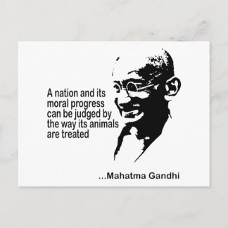 Mahatma Gandhi Animal Rights Postcard