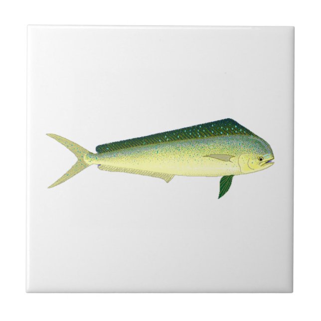 Mahi Mahi Ceramic Tile (Front)