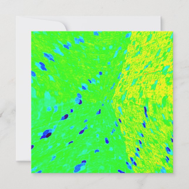 Mahi Mahi Dolphin Fish Art Colours (Front)