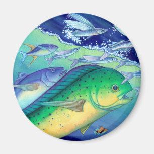 Mahi Mahi (Dolphin Fish) chasing Flying Fish Magnet