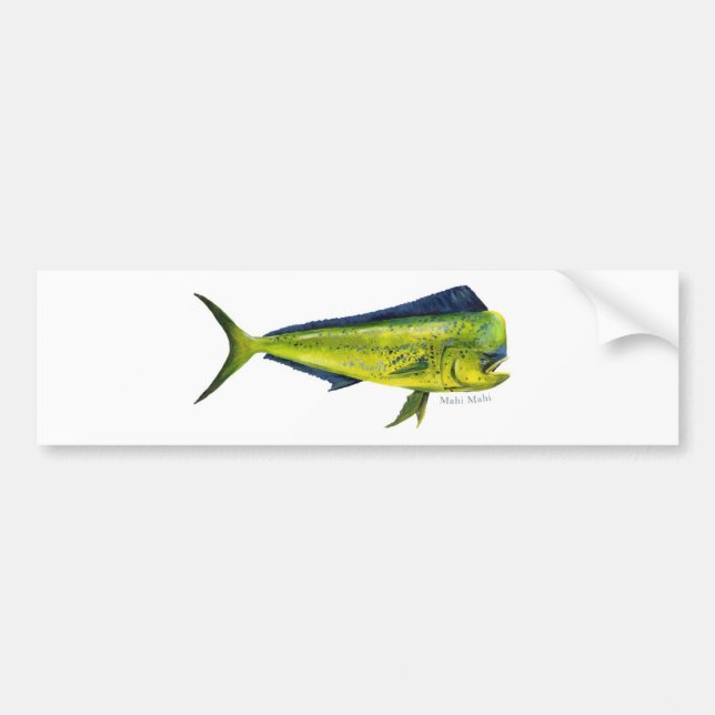 Mahi Mahi fish bumper sticker (Front)