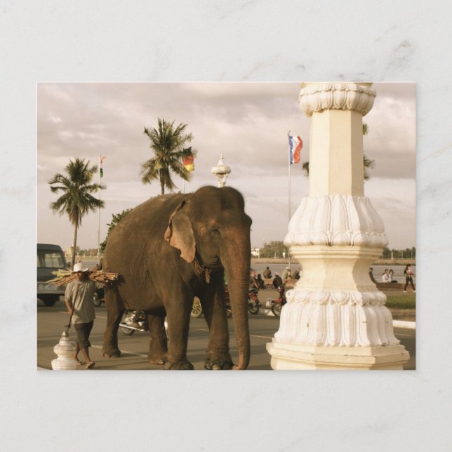 Mahout and Elephant Postcard (Front)