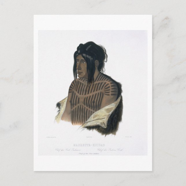 Mahsette-Kuiuab, Chief of the Cree Indians, plate Postcard (Front)