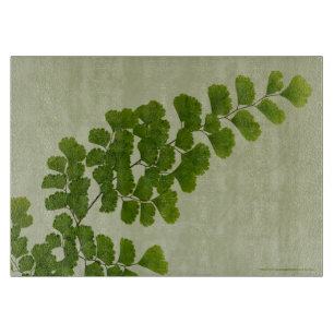 Maiden Hair Fern Frond Cutting Board