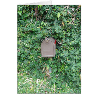 Mail in Paradise