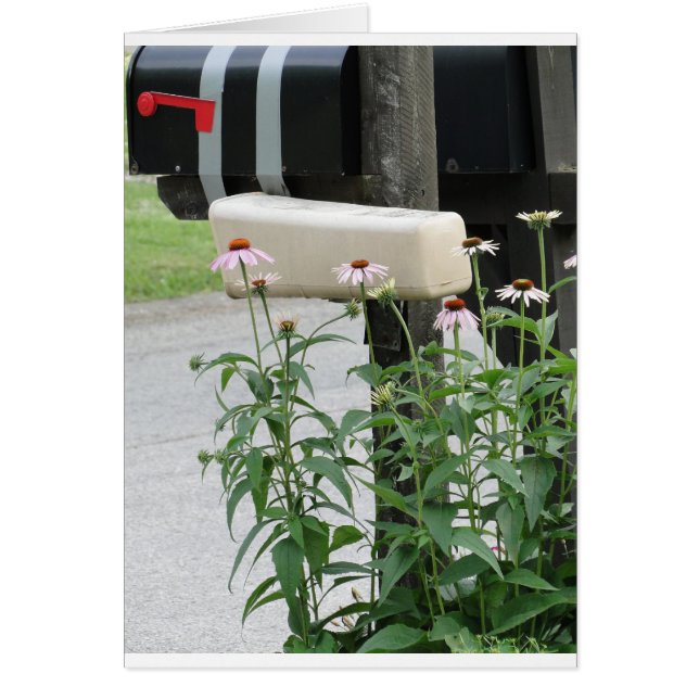 Mailbox & Flowers Bring Love & Prayers (Front)