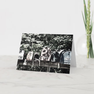 Mailboxes on the Vineyard Greeting Card